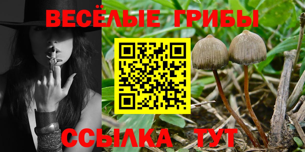 Псилоцибиновые грибы прущие грибы  Вход с VPN  как найти закладки  Кувандык  Галлюциногенные грибы Psilocybe 